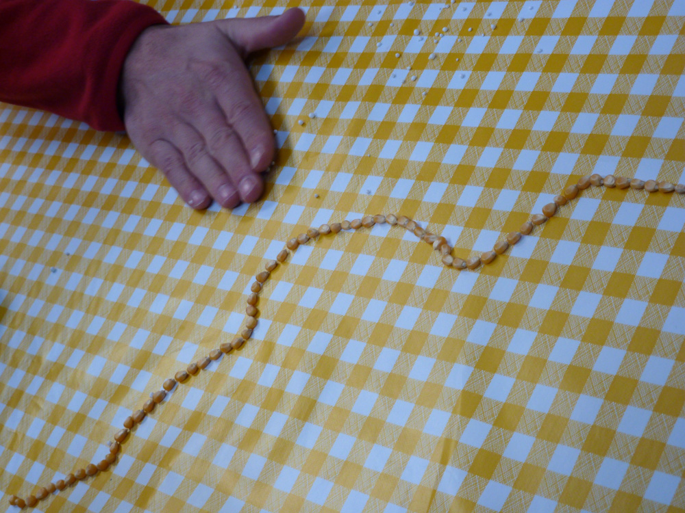 résidences / Sauf le Dimanche