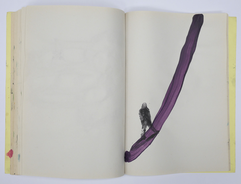 Cahier de l'ombre