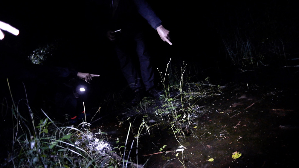 Territoires d'Oisans