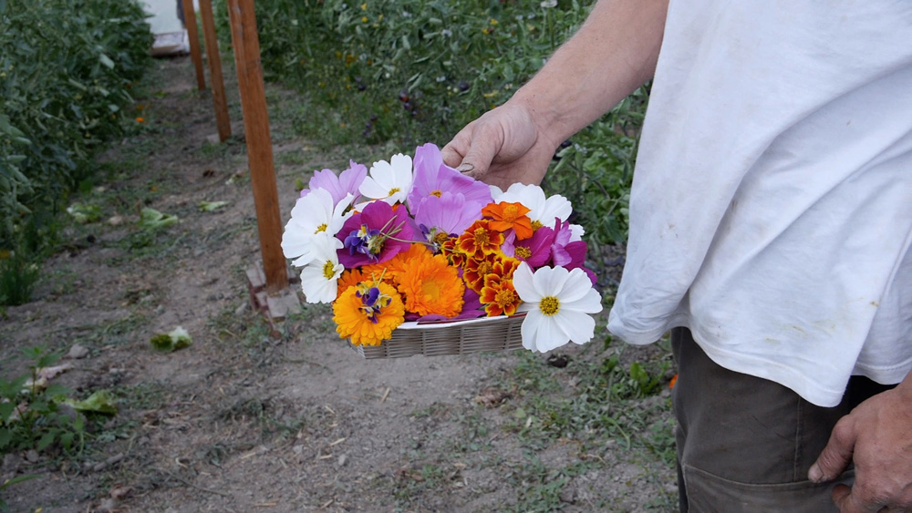 Territoires d'Oisans