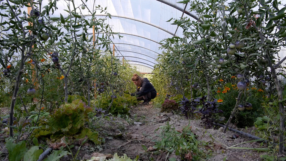 Territoires d'Oisans