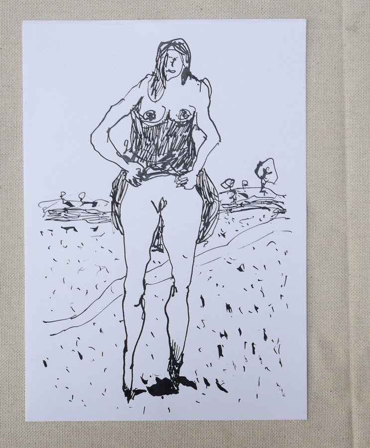 Dessins