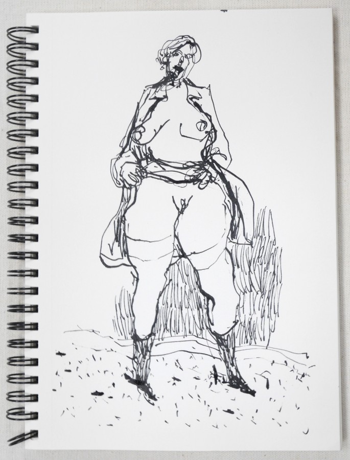 Dessins