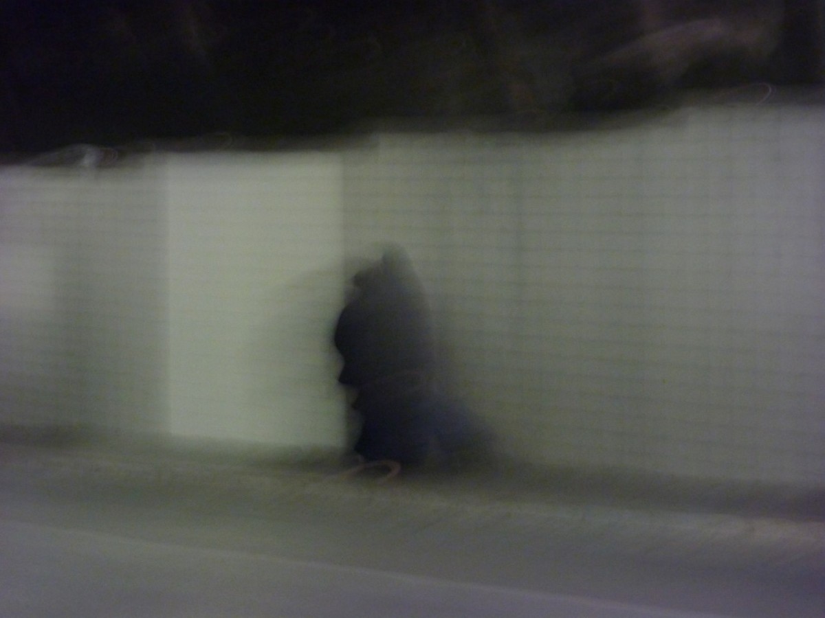 Du bruit dans les murs