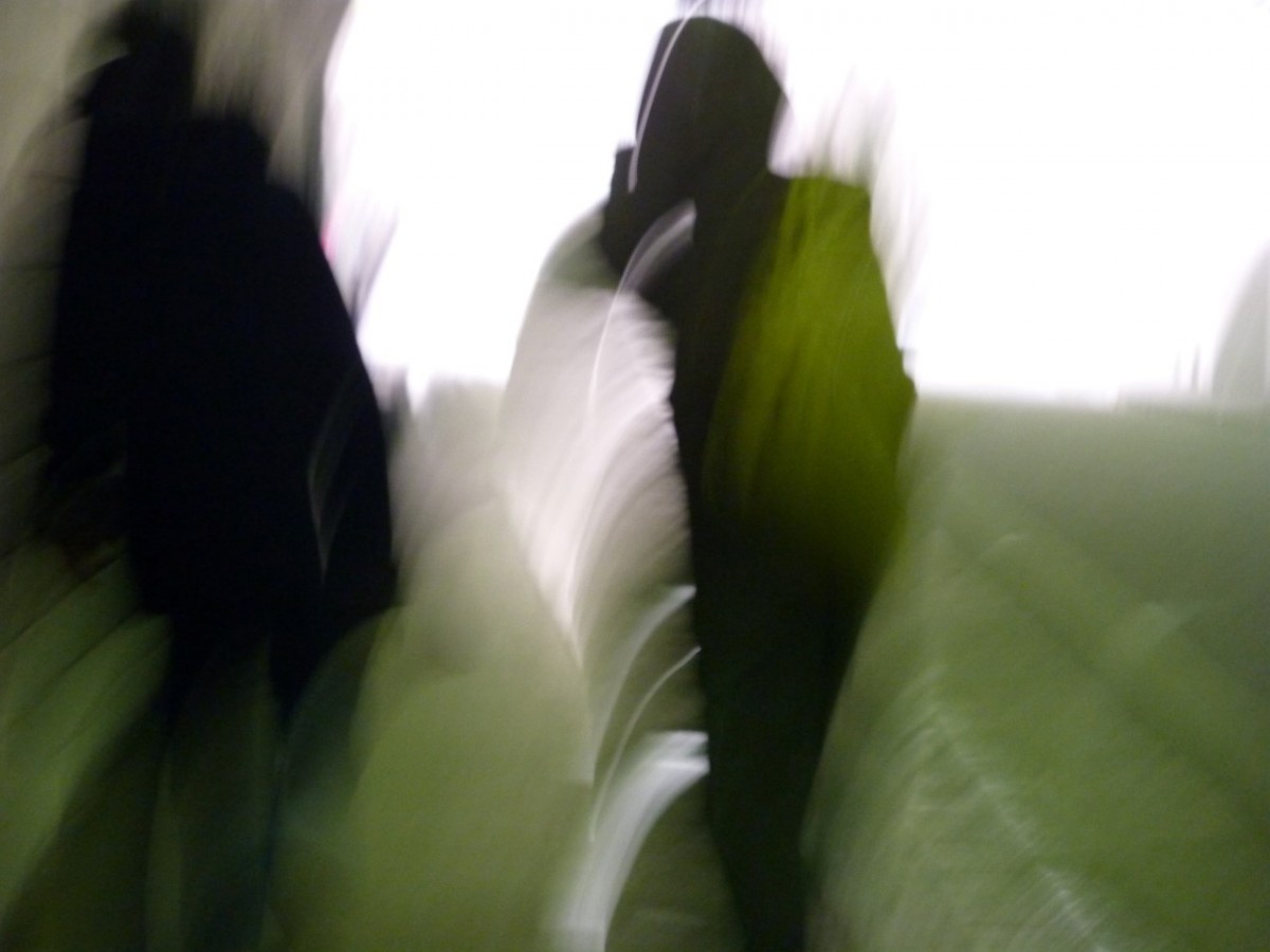 Du bruit dans les murs