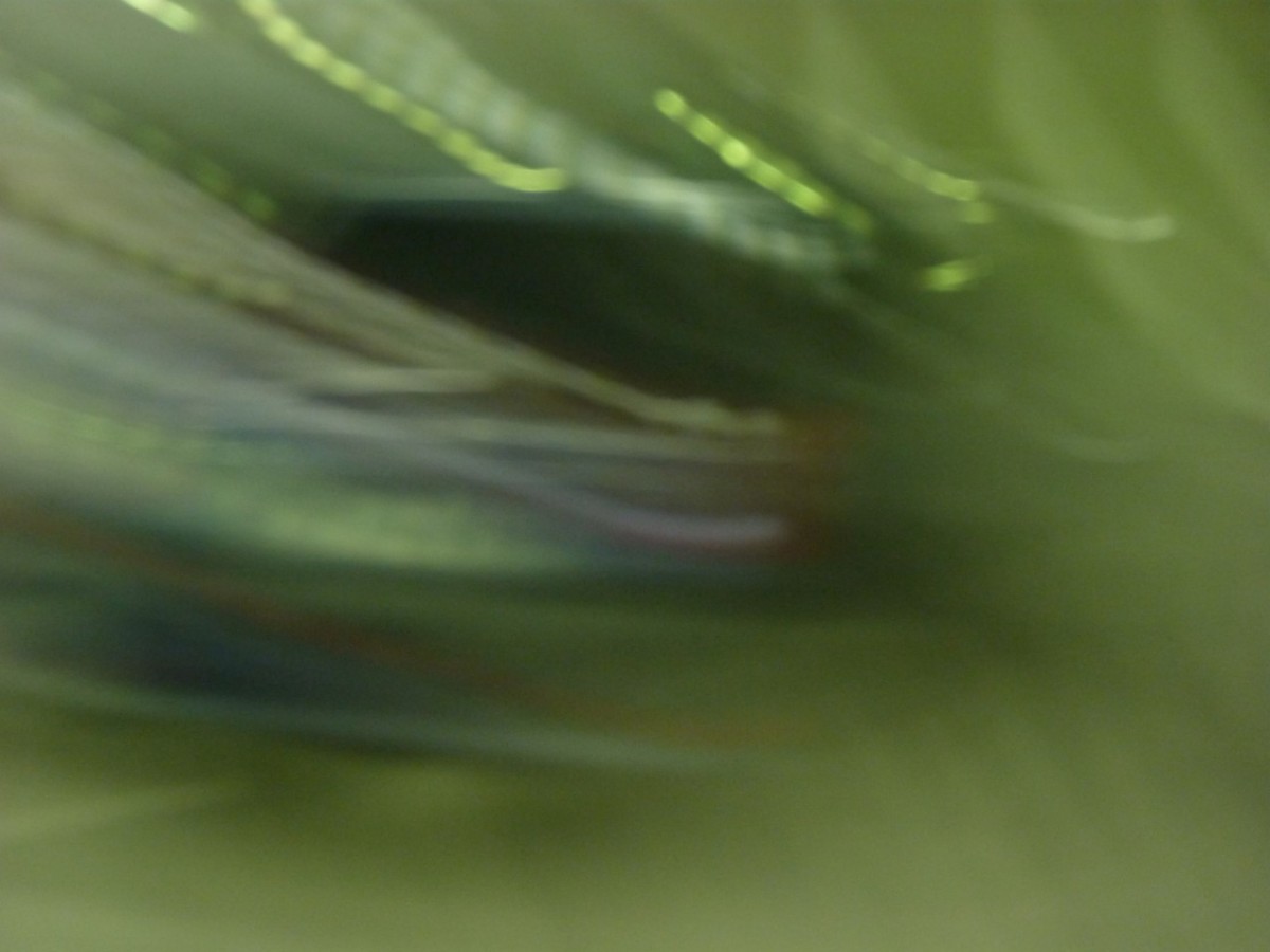 Du bruit dans les murs