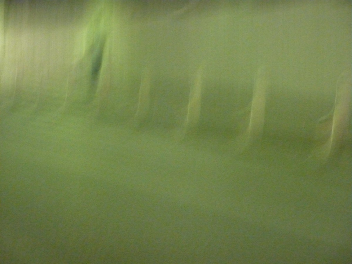 Du bruit dans les murs