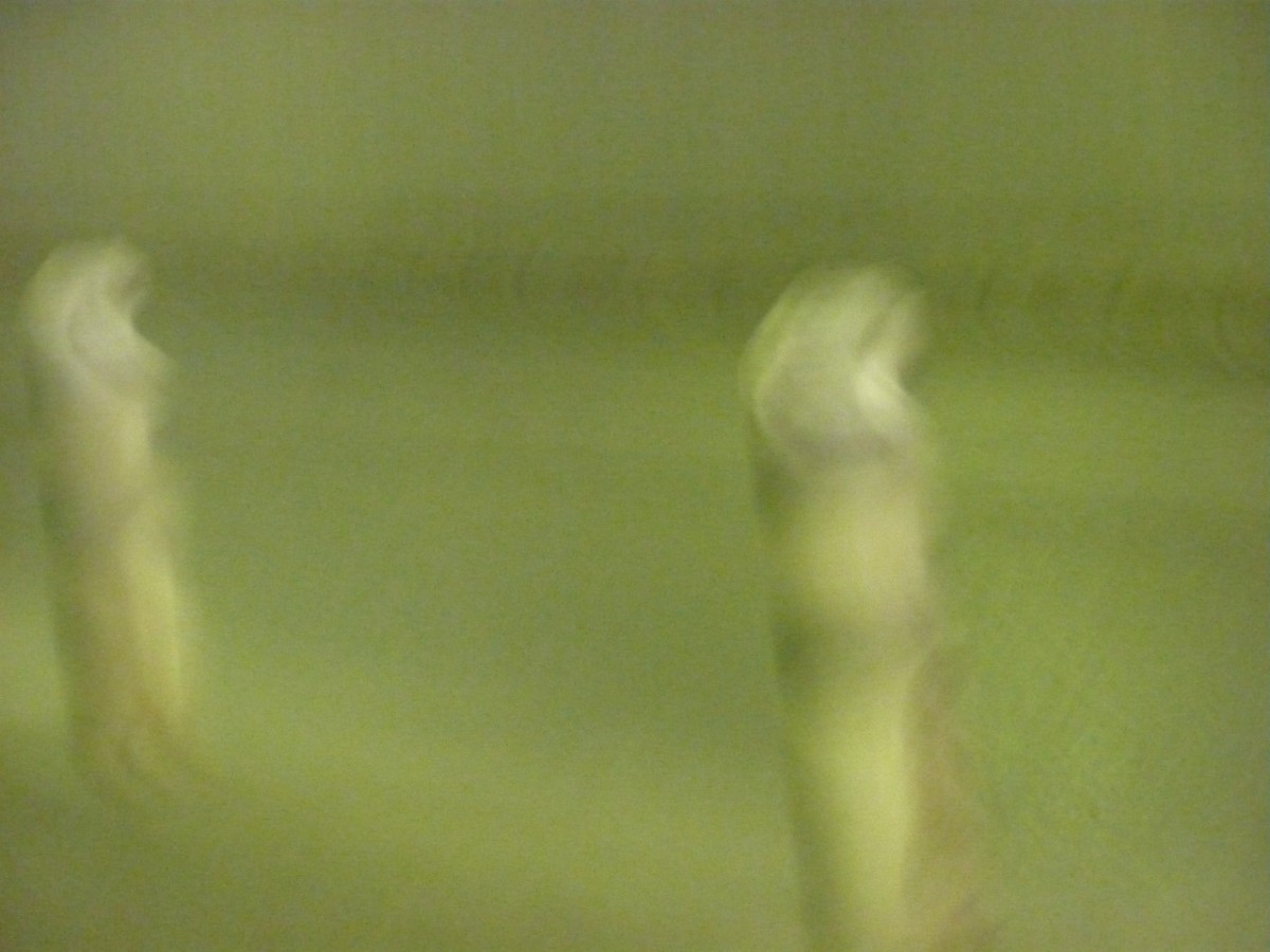 Du bruit dans les murs