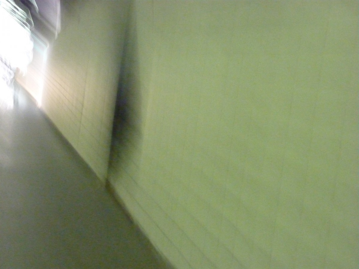 Du bruit dans les murs