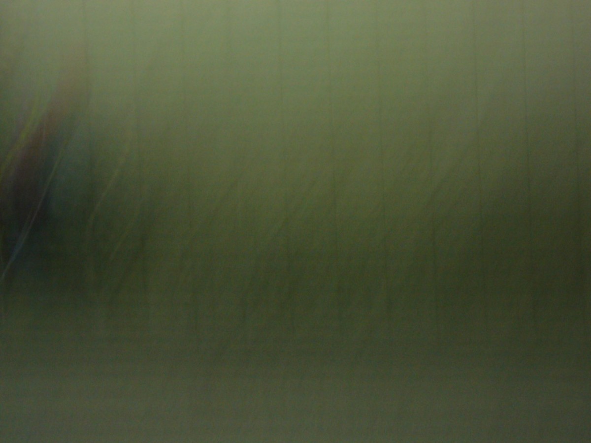 Du bruit dans les murs