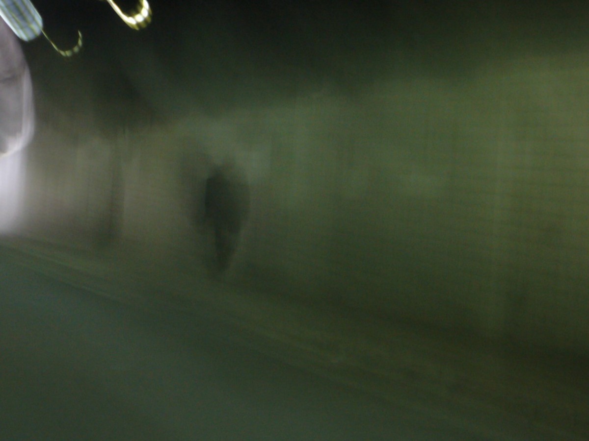 Du bruit dans les murs