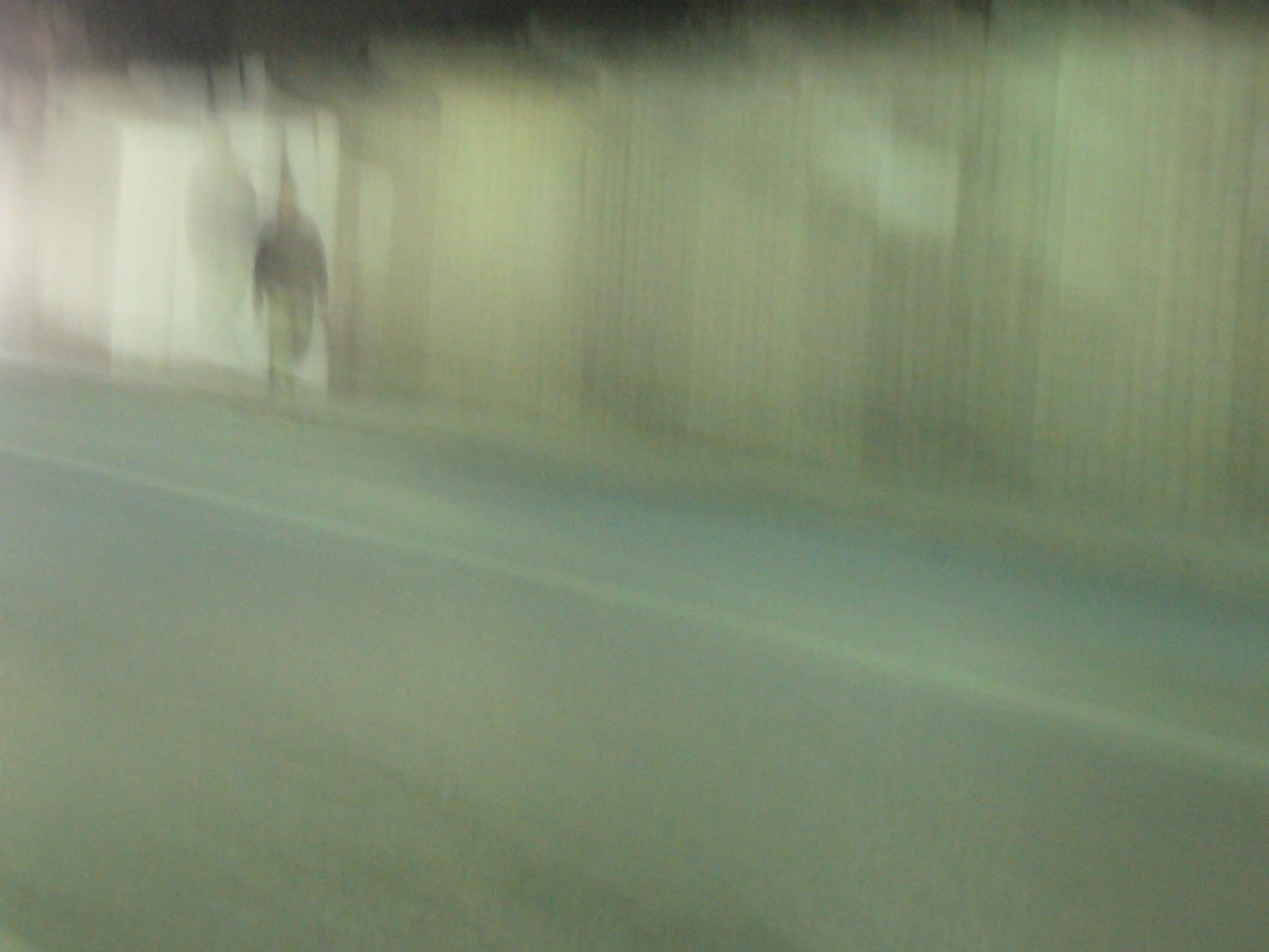 Du bruit dans les murs