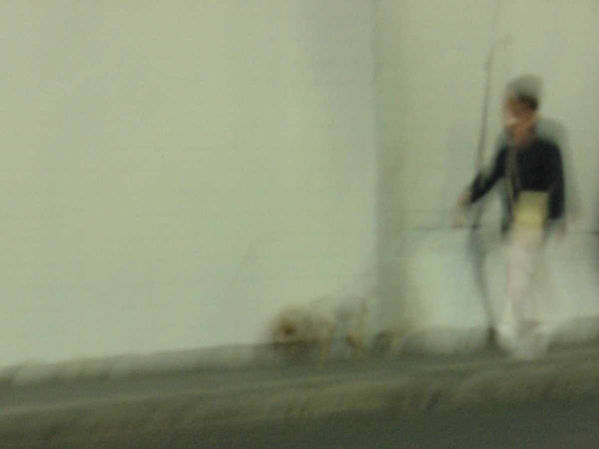 Du bruit dans les murs