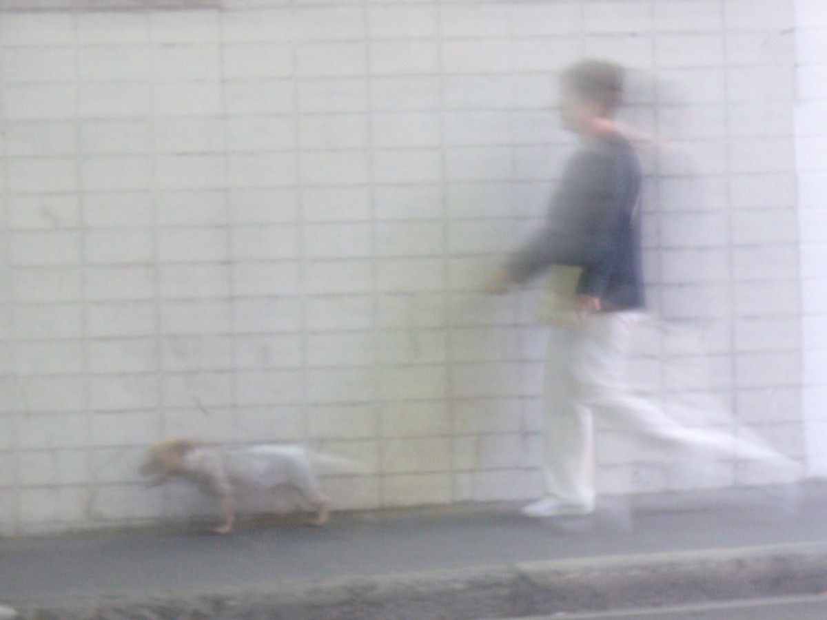 Du bruit dans les murs