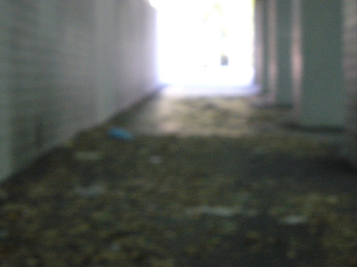 Du bruit dans les murs